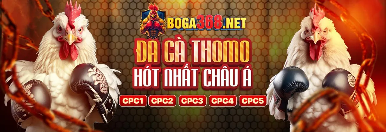Các câu hỏi thường gặp về đá gà OK9AA